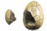 Septarian Dragon Egg Geode - Removable Section #329505-3